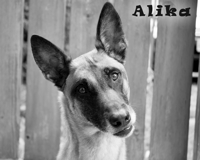 Alika