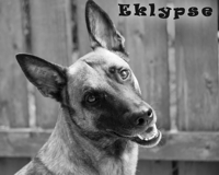 Eklypse